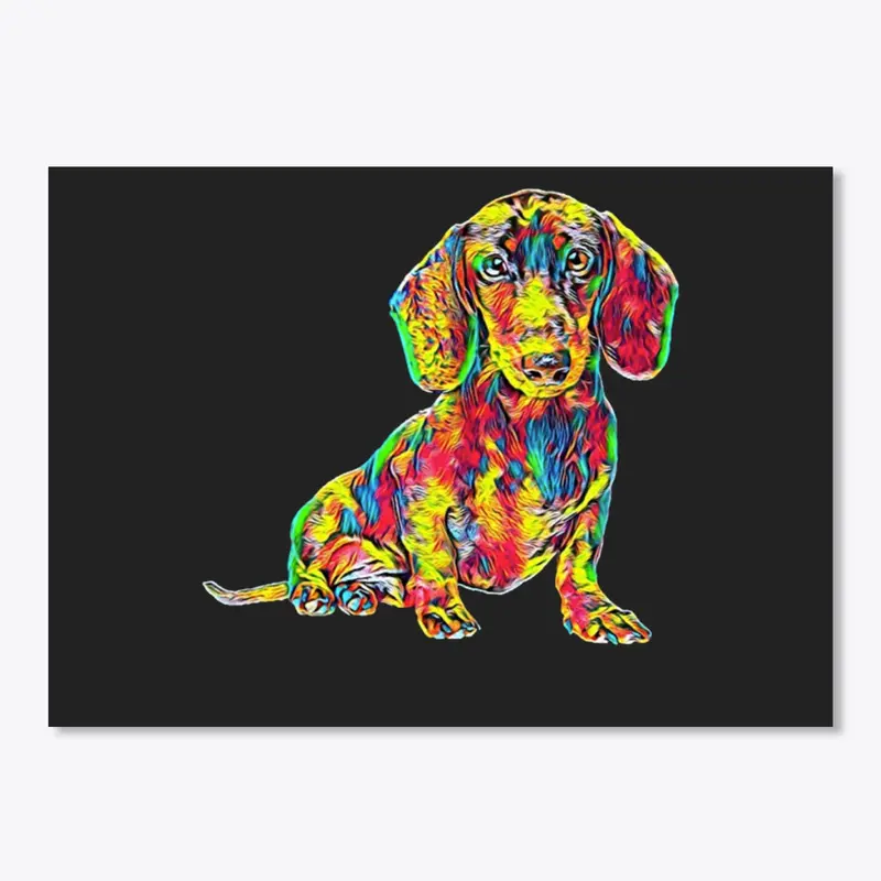 Cool Dachshund Breed