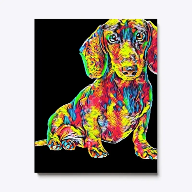 Cool Dachshund Breed